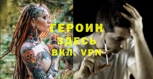 индика Дмитровск